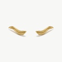 Rio gold ear climbers