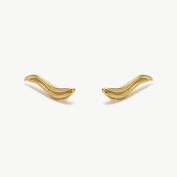 Rio gold ear climbers