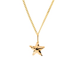 Starfish necklace (Silver plated with gold plating)