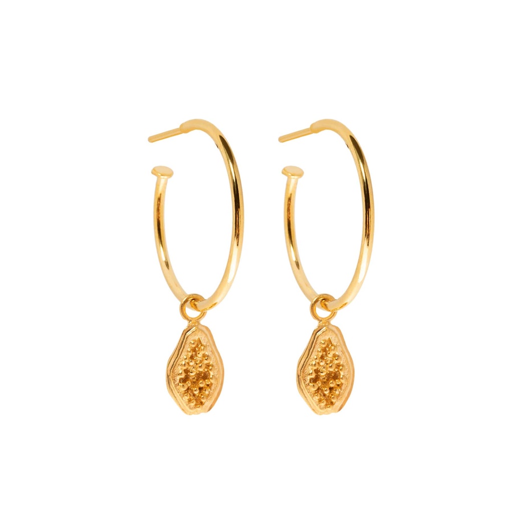 Papaya gold hoops