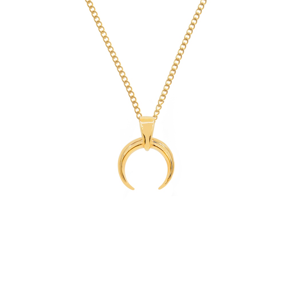 Horn necklace