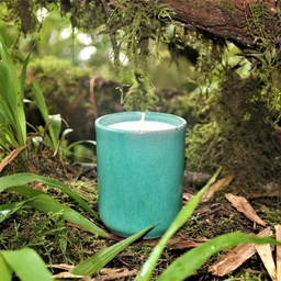 Laurisilva scented candle