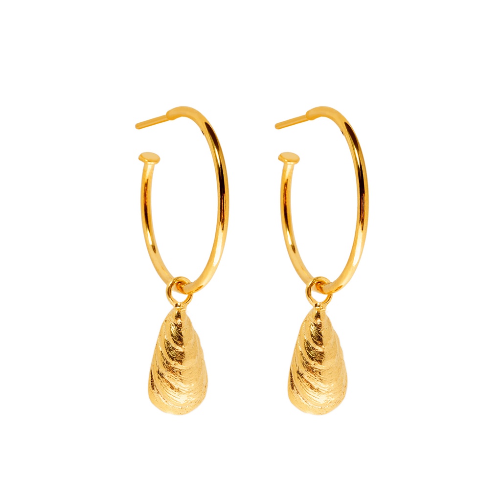 Mussel gold hoops