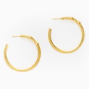 Rio gold hoops