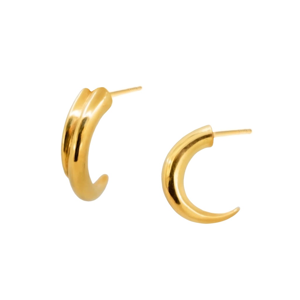 Horn earrings