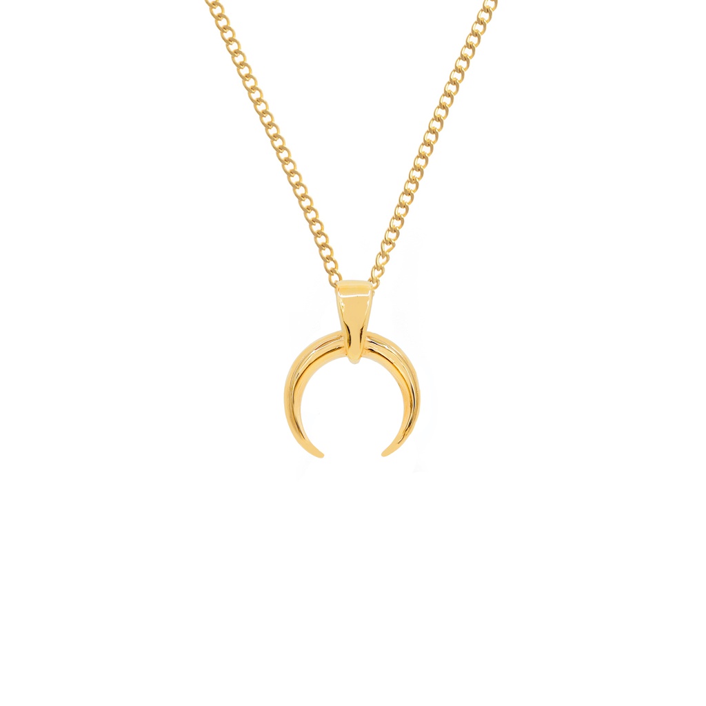 Half hot sale horn necklace