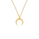 Horn necklace
